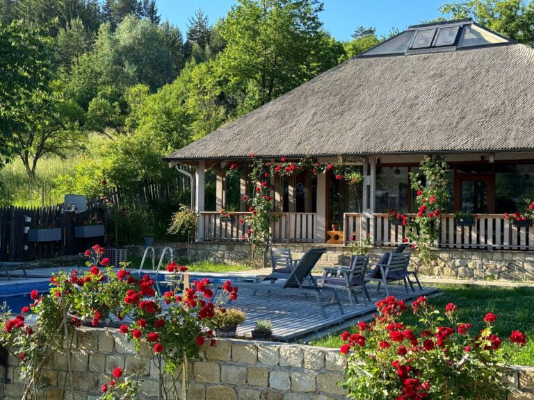 Casa Thymus - Vila 1 Exterior